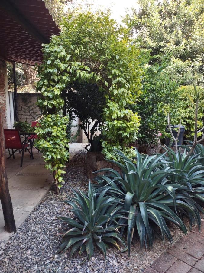 Tu Casa Oaxaca... Hotel Екстериор снимка